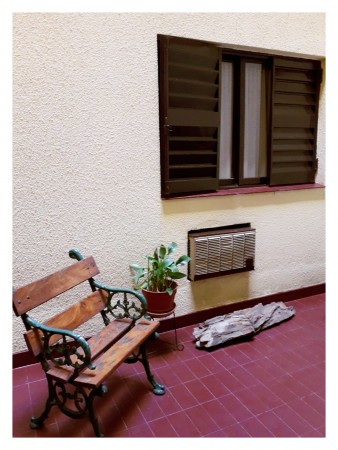 Dpto planta baja con patio