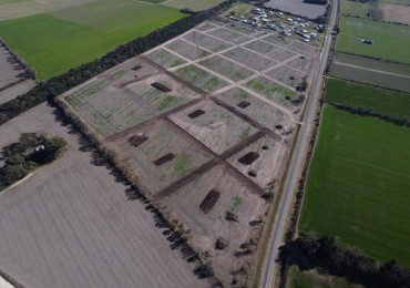 AIRES DEL SUR - TEZANOS PINTOS